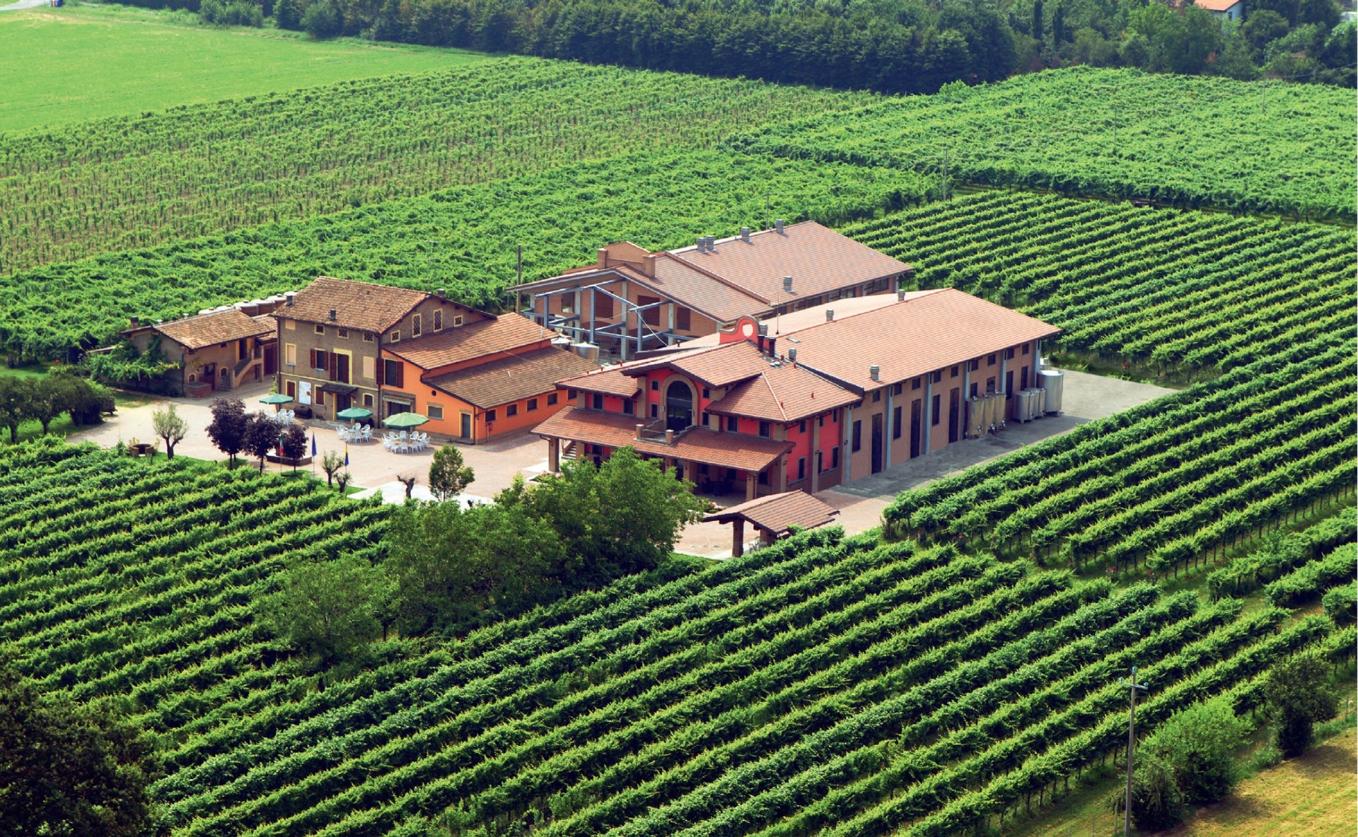 レオナルディ社のブドウ畑とバルサミコ酢の熟成庫